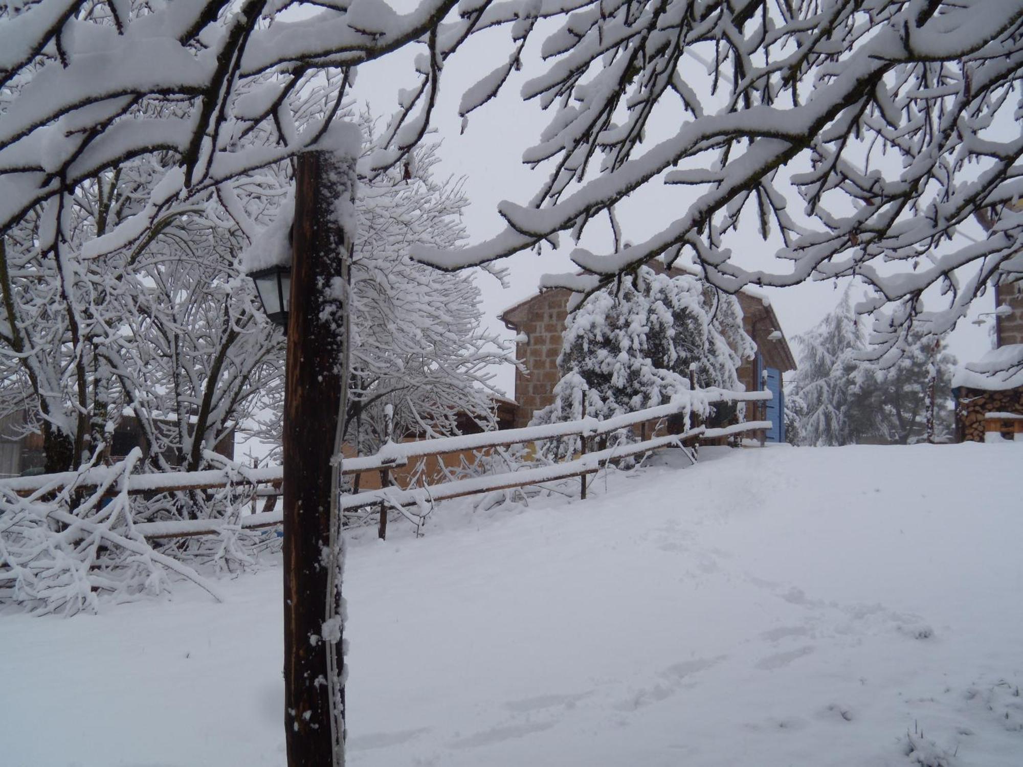 Podere Delle Rose Torre San Severo Exterior photo